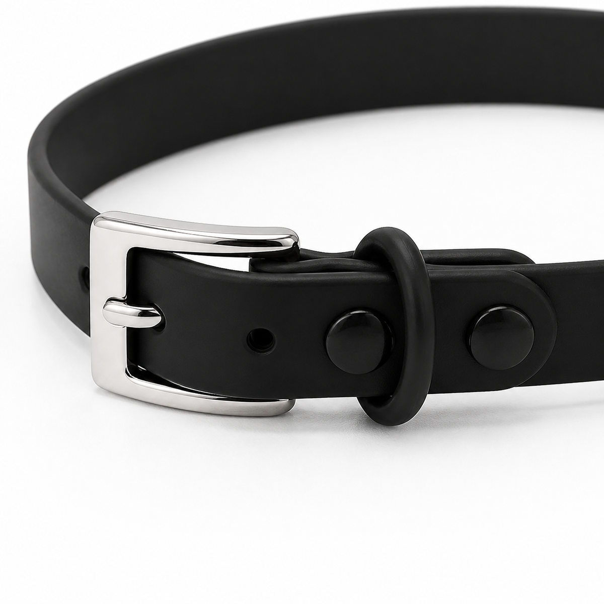 Black Custom Pet Collar
