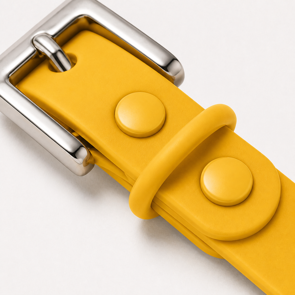 Yellow Custom Pet Collar