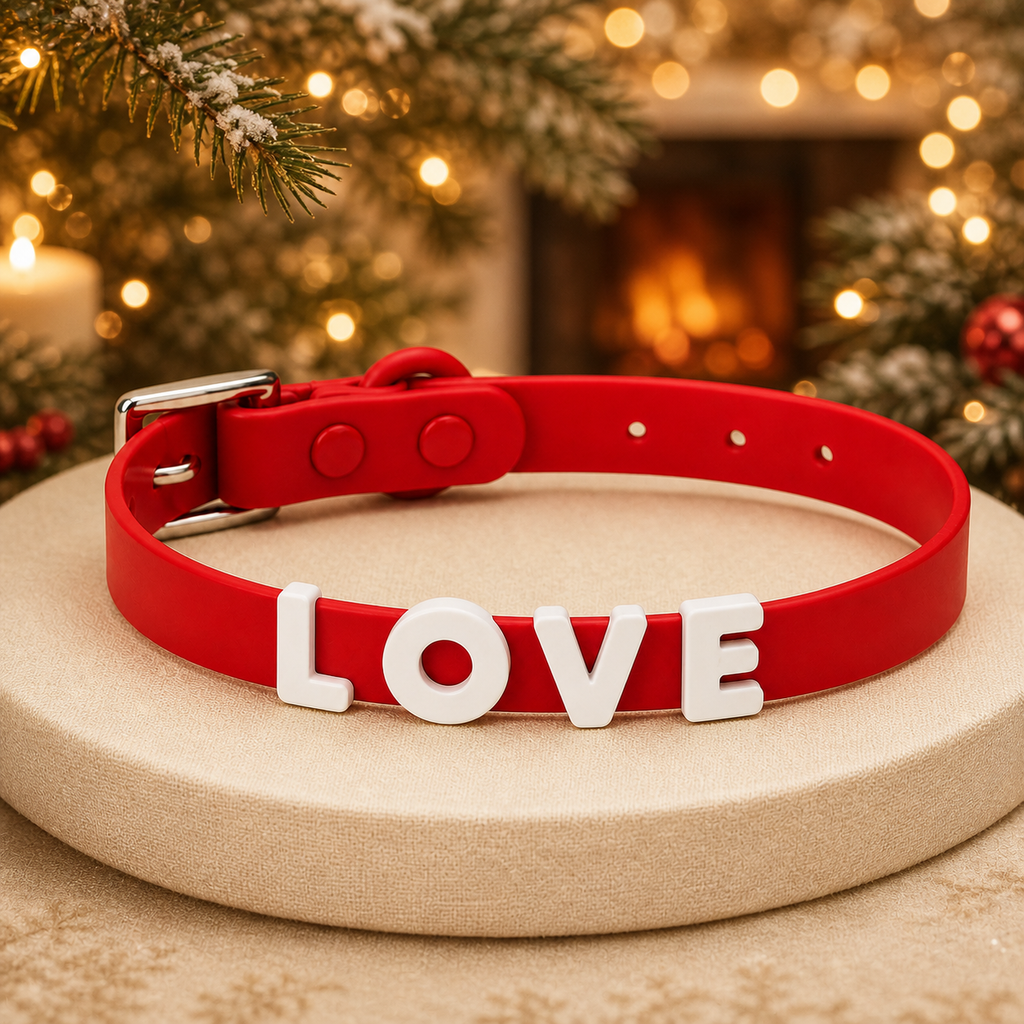 Santa's Best Friend Edition | Christmas Limited Custom Collar Set