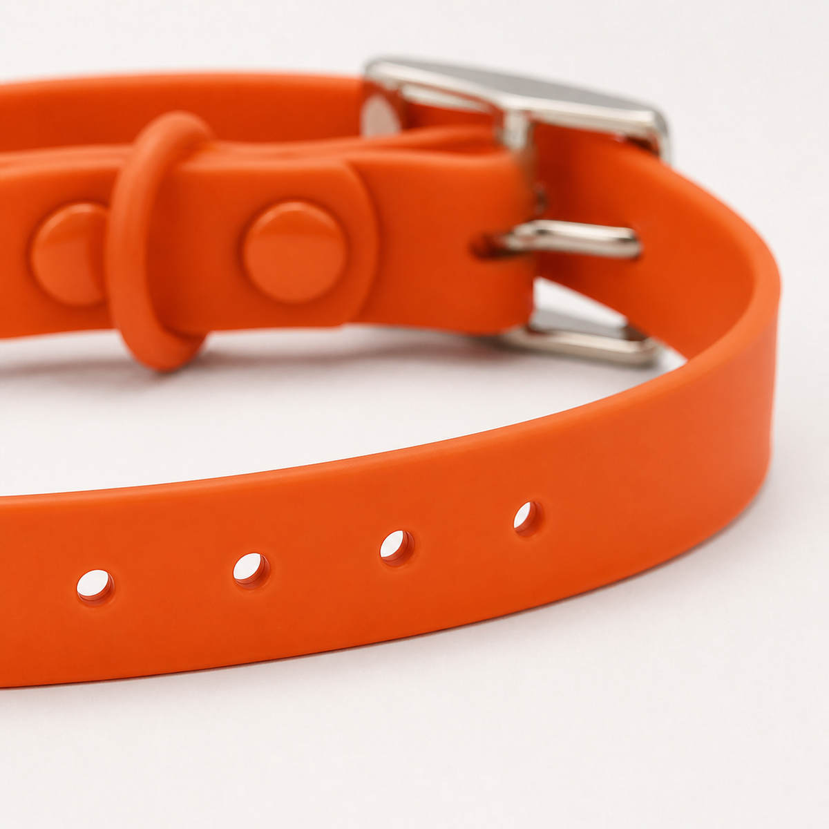 Orange Custom Pet Collar