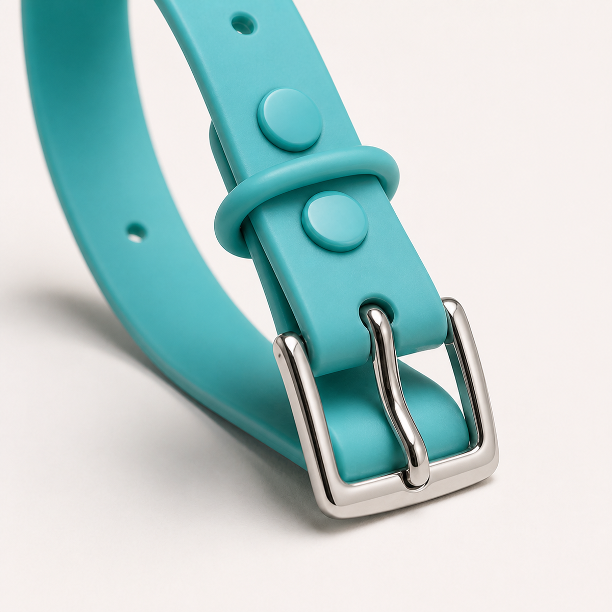 Aqua Custom Pet Collar