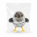 The Little Bird Companion