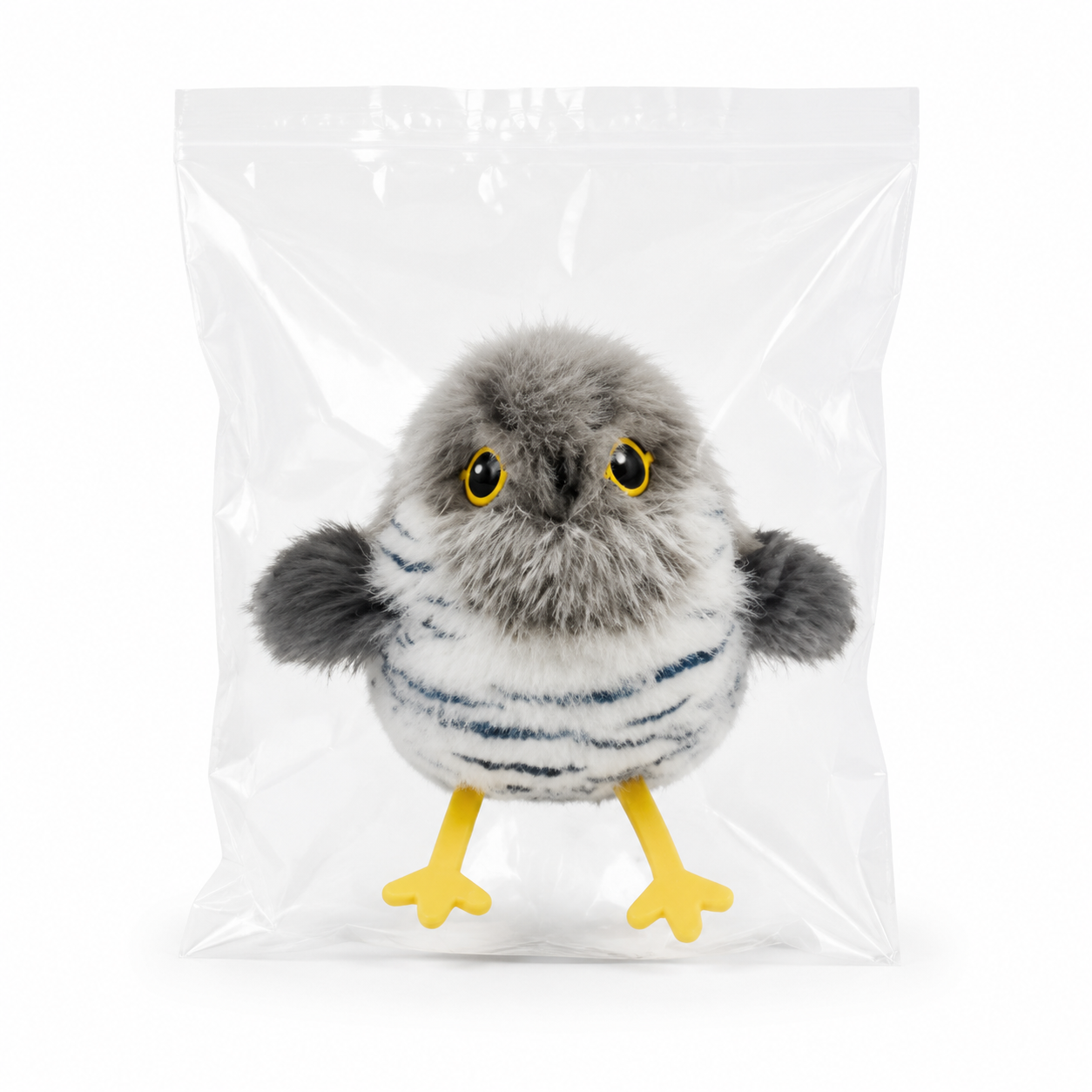 The Little Bird Companion