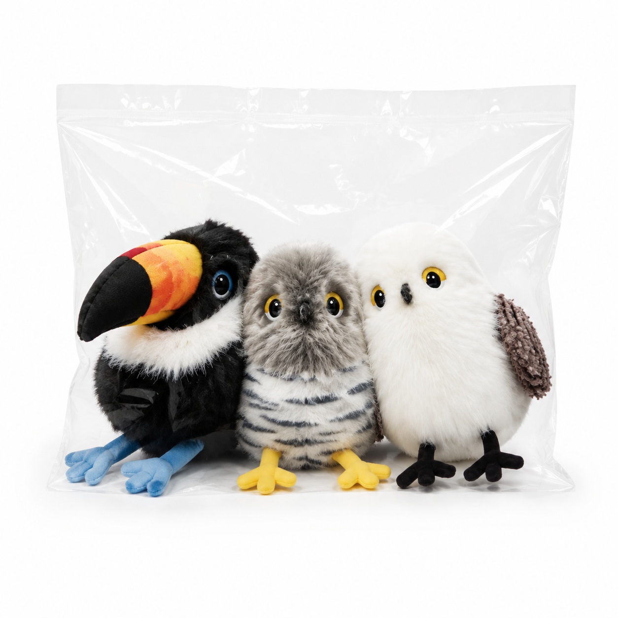 The Little Bird Companion
