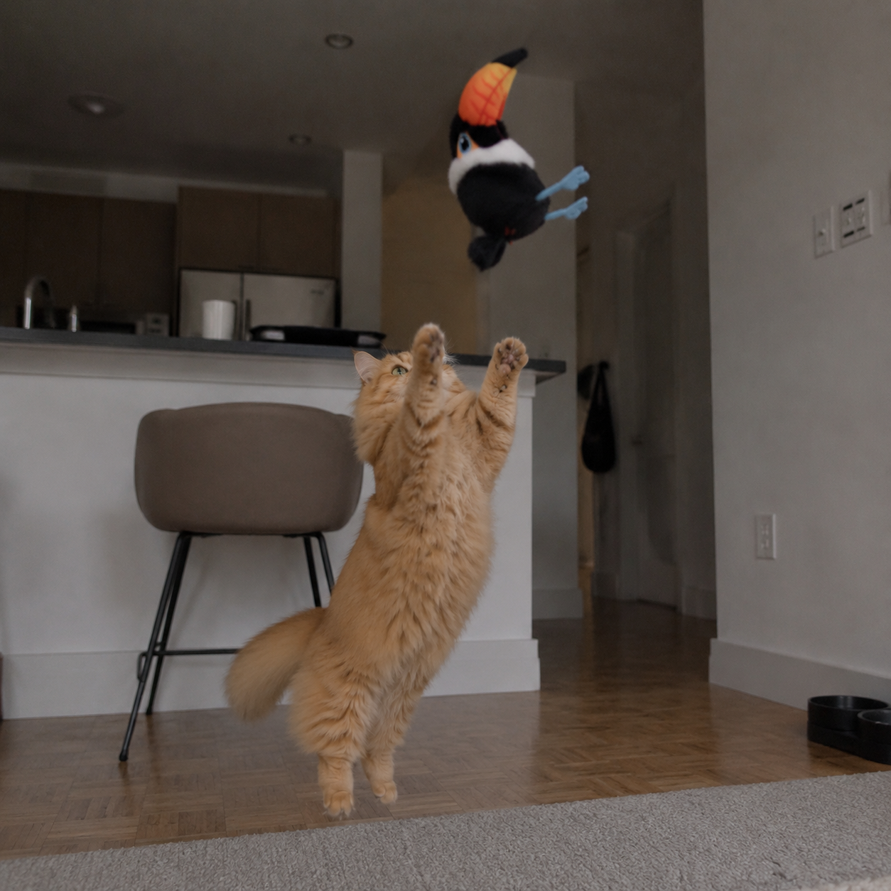 The Little Bird Companion